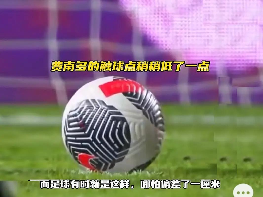 也为其他中