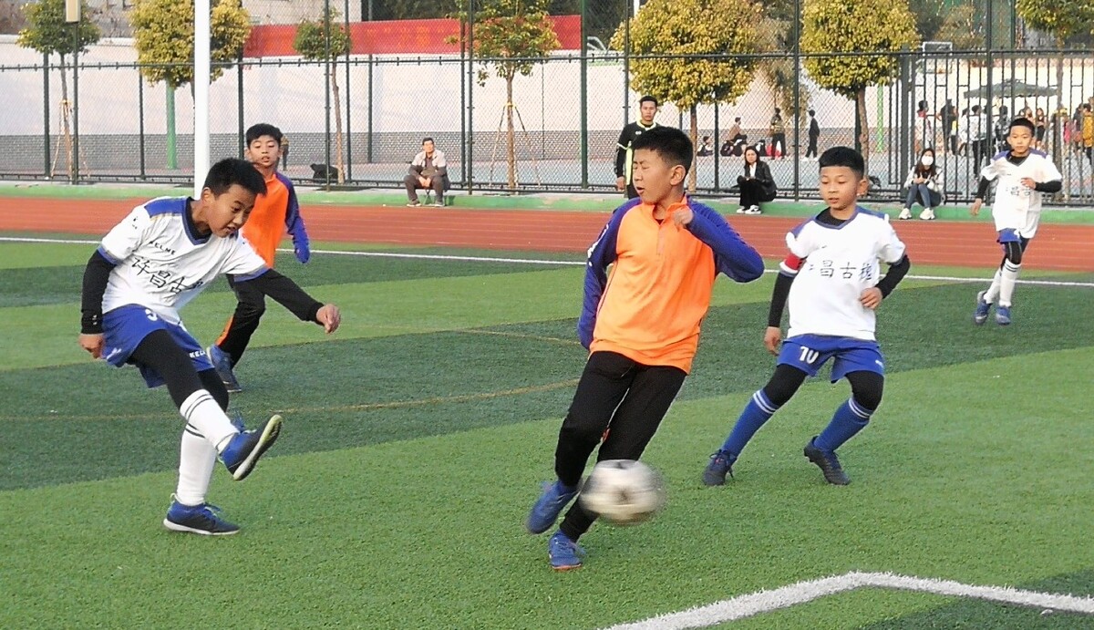 年轻天才的 年轻天才的