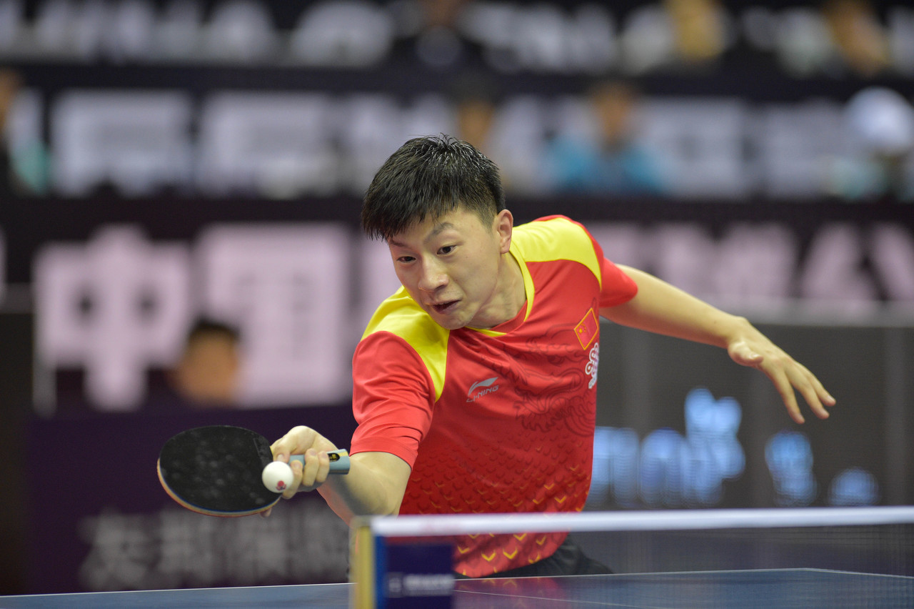 肥狂风峻茂 肥狂风峻茂